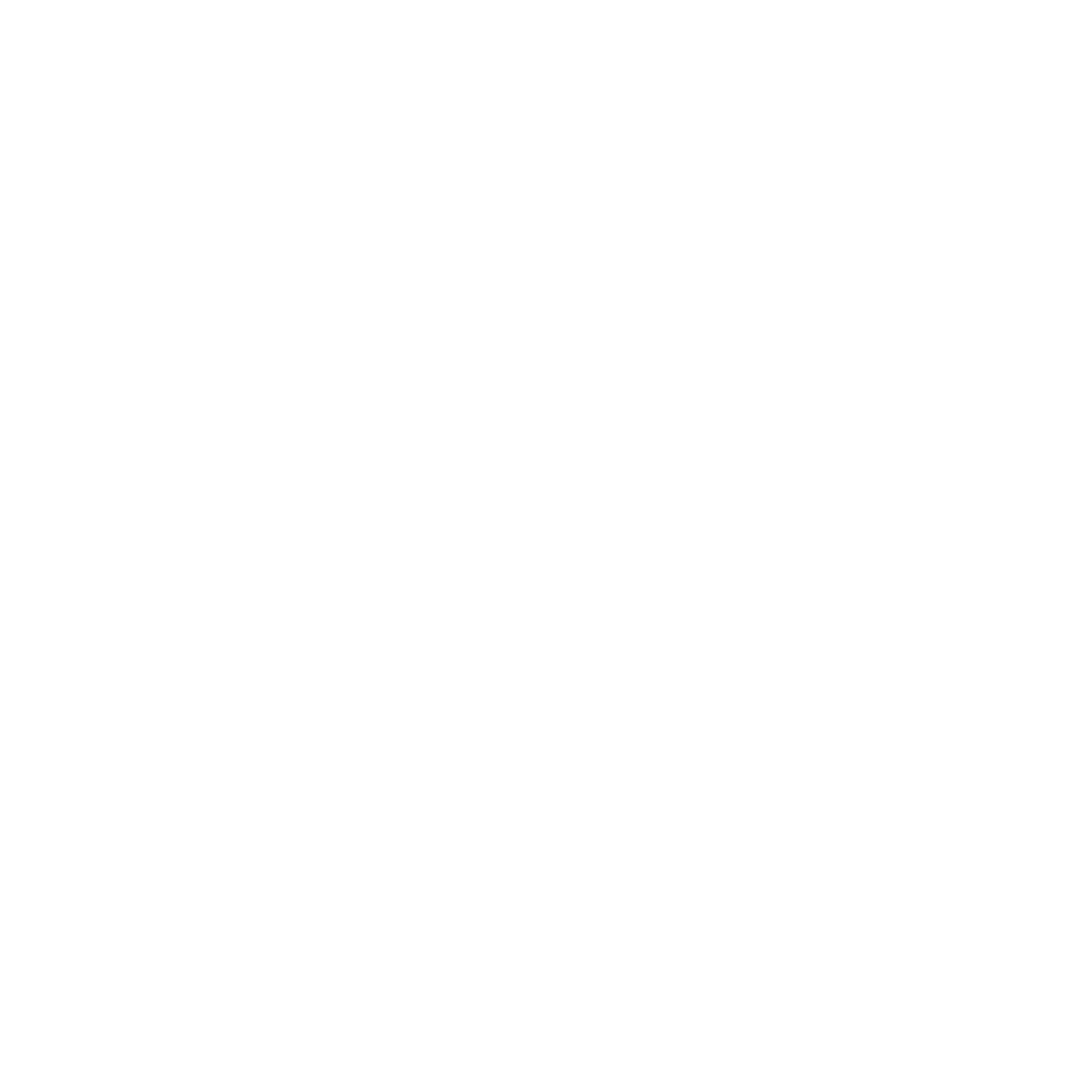 Chapter 2 White Icon 1